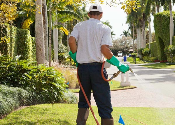 About Universal City TX Pest Control Pros